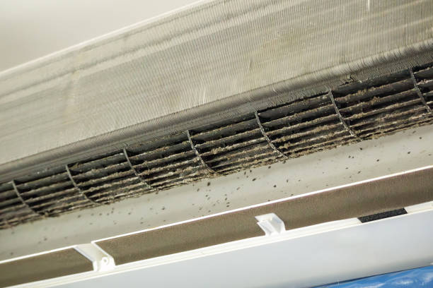 Best Residential Air Duct Cleaning  in Fox Chapel, PA